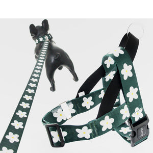Unleash Adventure with Our Vest Style Dog Leash for Large Breeds!