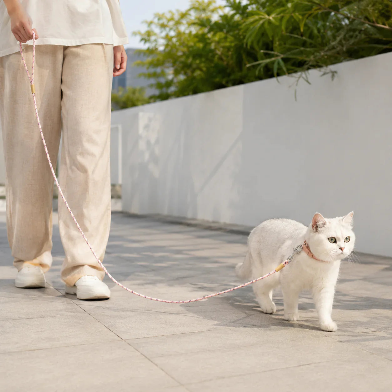 Choosing Perfect Pet Leashes For Safe Walks