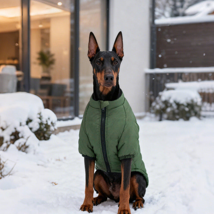 Cotton Pet Jacket With Two-Leg Design For Winter Comfort