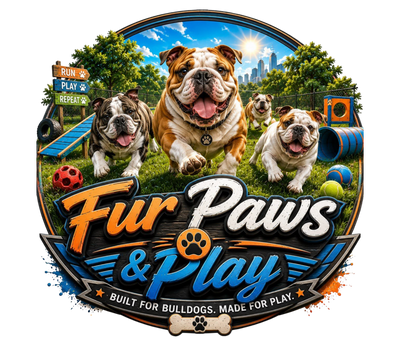 Fur Paws And Play